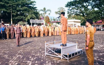 Wabup Yulian Efi: Masuknya TKD Jadi Momentum Percepatan Realisasi Program Daerah Solok Selatan 4 Apel gabungan Pemerintah Kabupaten Solok Selatan