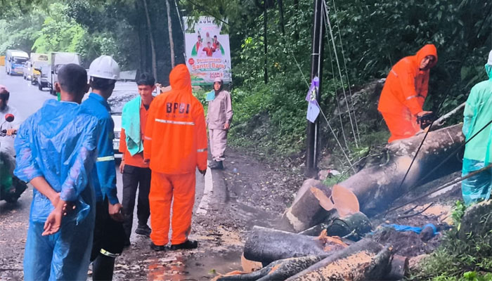 Personel BPBD Kabupaten Limapuluh kota membersihkan pohon tumbang menutup badan Jalan Lintas Payakumbuh–Bukittinggi, tepatnya di Nagari Koto Tangah Batu Hampa, Kecamatan Akabiluru.