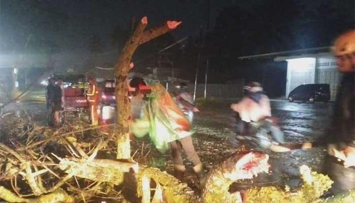 BPBD Payakumbuh Gercep Evakuasi Pohon Tumbang di Tiga Lokasi 1 Petugas BPBD Kota Payakumbuh sedang evakuasi pohon tumbang