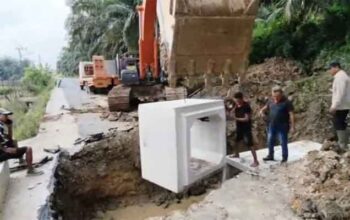 Bupati Dharmasraya Instruksikan Penanganan Cepat, Gorong-Gorong Putus di Simalidu Langsung Diperbaiki 7 Perbaikan Gorong-Gorong Putus di Nagari Simalidu, Kabupaten Dharmasraya