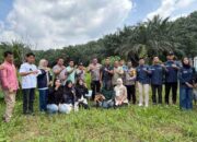 Menanam Harapan dari Alahan Nan Tigo, HMI Dharmasraya Satukan Kepedulian Sosial dan Pelestarian Wisata