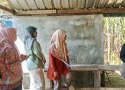 Audit Bongkar Ratoon 2025 di Blitar Diwarnai Dugaan Intimidasi terhadap Wartawan