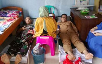PMI Kotabumi Sukses Gelar Donor Darah di Dusun 6 Talang Jembatan 4 PMI Kotabumi Gelar Donor Darah di Dusun 6 Talang Jembatan