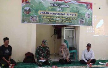Satgas TMMD ke-129 Gandeng Distanhorbun Gelar Penyuluhan Teknologi dan Perawatan Tanaman Kakao di Jorong Ketinggian 6 Kodim 0306 50 Kota Gandeng Distanhorbun Gelar Penyuluhan Teknologi dan Perawatan Tanaman Kakao di Jorong Ketinggian