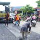 Mendapat Perhatian Bupati Dharmasraya, Jalan Simpang Koto Agung-Blok C Sitiung I Kini Kembali Mulus