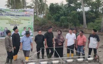 Wagub Sumbar, Vasko Ruseimy saat penanaman perdana benih padi dengan pola Pertanian Modern–Advanced Agriculture System (PM-AAS) di lahan Kelompok Tani Rawang Sari, Nagari Salayo, Kecamatan Kubung, Kabupaten Solok