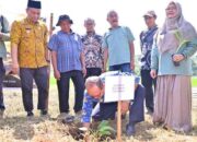 Pemko Payakumbuh Tanam 3.000 Bibit Pisang Barangan untuk Perkuat Pasokan Buah Lokal Program MBG