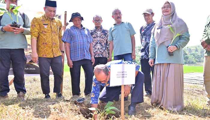 Pemko Payakumbuh Tanam 3.000 Bibit Pisang Barangan