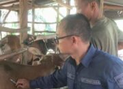 Vet GAS, Layanan Kesehatan Hewan Keliling Puskeswan Solok Selatan