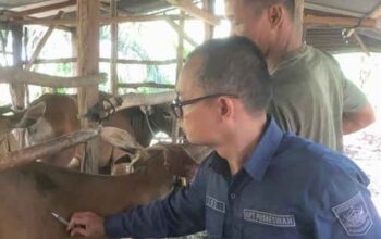 Layanan Kesehatan Hewan Keliling Puskeswan Solok Selatan, Vet GAS