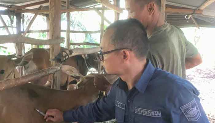 Layanan Kesehatan Hewan Keliling Puskeswan Solok Selatan, Vet GAS