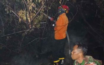 BPBD Muba Berjibaku hingga Dini Hari Padamkan Karhutbunla di Batang Hari Leko 3 BPBD Muba padamkan Karhutbunla di Batang Hari Leko