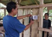 SIDIK TERNAK, Inovasi Digital Dinas Pertanian Dharmasraya Percepat Akurasi Data Peternakan