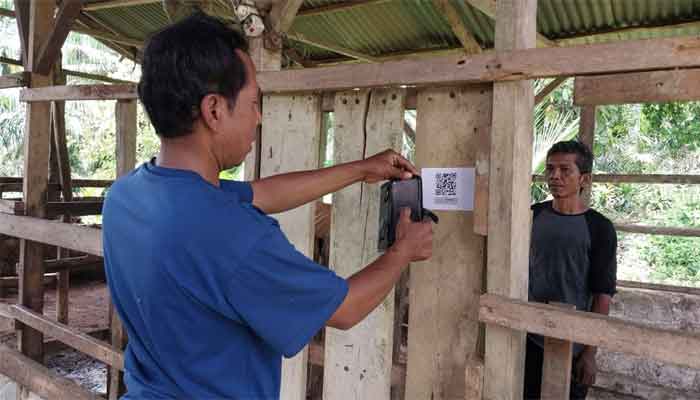 SIDIK TERNAK, Inovasi Digital Dinas Pertanian Dharmasraya Percepat Akurasi Data Peternakan