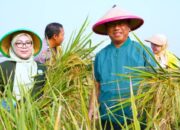 Wah! Munjirin Panen Padi di Cakung, Urban Farming Bali Lestari Hasilkan 10 Ton Gabah