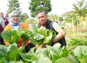 Munjirin Pimpin Panen Serentak di 191 Titik, Urban Farming Jaktim Hasilkan 1,1 Ton Jagung dan Sayuran