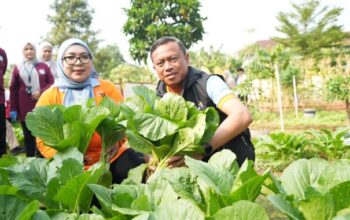 Munjirin Pimpin Panen Serentak di 191 Titik, Urban Farming Jaktim Hasilkan 1,1 Ton Jagung dan Sayuran 3 IMG 20260805 WA0030