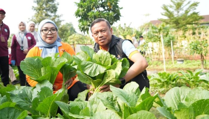 Munjirin Pimpin Panen Serentak di 191 Titik, Urban Farming Jaktim Hasilkan 1,1 Ton Jagung dan Sayuran