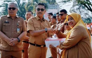 Sambut HUT RI ke-81, Pemkab Solok Selatan Bagikan Bendera Merah Putih 7 Pemkab Solsel Bagikan Bendera Merah Putih