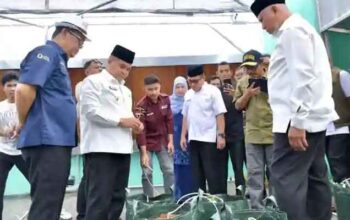 Pertanian Modern Agam: Screenhouse Cabai dan Melon Dorong Produktivitas dan Minat Generasi Muda 3 Bantuan screenhouse senilai Rp472 juta kepada Kelompok Tani Karya Tani, berlokasi di Muaro Batu Galeh, Jorong IV Surabayo, Kecamatan Lubuk Basung, Kabupaten Agam.