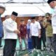 Pertanian Modern Agam: Screenhouse Cabai dan Melon Dorong Produktivitas dan Minat Generasi Muda