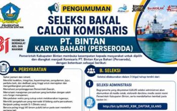 Pemkab Bintan Buka Seleksi Bakal Calon Komisaris dan Direktur BUMD PT Bintan Karya Bahari 8 Pemkab Bintan Buka Seleksi Bakal Calon Komisaris dan Direktur BUMD PT Bintan Karya Bahari