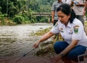 DLH Sumbar Turunkan Tim Verifikasi Dugaan Pencemaran Batang Siat di Dharmasraya