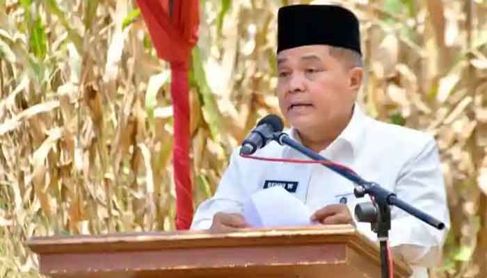 Pertanian Modern Agam: Screenhouse Cabai dan Melon Dorong Produktivitas dan Minat Generasi Muda 2 Bupati Agam, Ir. H. Benni Warlis, MM, Dt. Tan Batuah