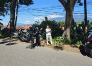 Anggota DPRD Kota Bukittinggi, Elfianis tindaklanjuti aspirasi warga Kelurahan Gulai Bancah terkait kerawanan pohon tua
