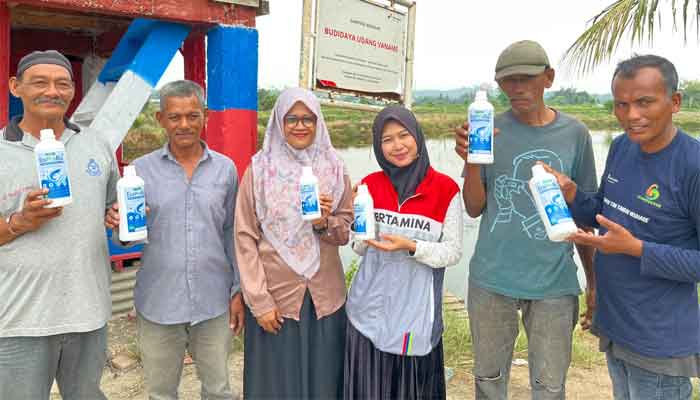 Gampong Berdikari, Upaya Pertamina Patra Niaga Regional Sumbagut Perkuat Adaptasi Perubahan Iklim Petambak Udang di Lhokseumawe