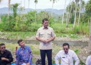 Pemkab Solok Percepat Pemulihan dan Penguatan Sektor Pertanian dengan Anggaran Rp 54,78 M