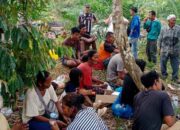 Konflik Tanah Ulayat Nagari Sikabau Memanas, Ninik Mamak Desak Bongkar Dasar Izin PT KBL