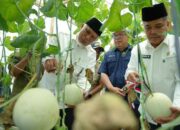 Gubernur Sumbar Dorong Transformasi Pertanian melalui Penerapan Teknologi dan Smart Farming