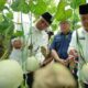 Gubernur Sumbar Dorong Transformasi Pertanian melalui Penerapan Teknologi dan Smart Farming