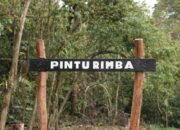 Pintu masuk pendakian Gunung Kerinci via Solok Selatan