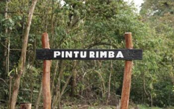 Pintu masuk pendakian Gunung Kerinci via Solok Selatan