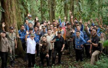 Nikmati Pengalaman Hiking Tipis-Tipis ke Danau Bukit Bontak di Solok Selatan 7 Hiking Tipis-Tipis ke Danau Bukit Bontak di Solok Selatan