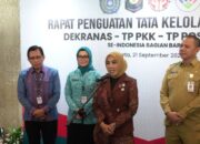 Sinergi Dekranas, PKK, dan Posyandu Didorong Perkuat Pemberdayaan Masyarakat dan UMKM
