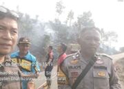 Damkar Dharmasraya Bersama TNI dan Polri Berhasil Kendalikan Karhutla di Siguntur