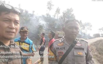 Damkar Dharmasraya Bersama TNI dan Polri Berhasil Kendalikan Karhutla di Siguntur 3 Damkar Dharmasraya Bersama TNI dan Polri Berhasil Kendalikan Karhutla di Siguntur