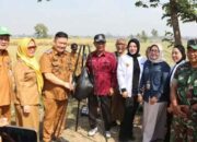 DPRD Kabupaten Malang Dorong Inovasi Pertanian Berkelanjutan melalui Panen Raya Padi Sukma