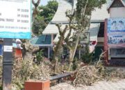 Pemko Bukittinggi Mulai Penataan Halaman TMSBK 9 Pemko Bukittinggi Mulai Penataan Halaman TMSBK