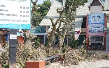 Pemko Bukittinggi Mulai Penataan Halaman TMSBK
