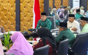 Sekda Bintan, Ronny kartika saat Entry Meeting Tim Pembinaan dan Pengawasan Penyelenggaraan Pemerintah Daerah 2026