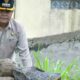 Realisasi Janji Kampanye, Bupati Agam Tinjau Sejumlah Ruas Jalan Rusak, Siapkan Perbaikan