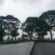 Kota Bukittinggi terdampak kabut asap