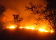 El Nino Mengancam, Dharmasraya Jangan Lagi Sekadar Menunggu Api Membesar 10 Karhutla di Dharmasraya