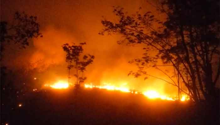 El Nino Mengancam, Dharmasraya Jangan Lagi Sekadar Menunggu Api Membesar 1 Karhutla di Dharmasraya