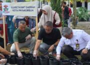 Pemko Payakumbuh dan Kementan Jadikan ASN Pionir Penanaman Bawang Merah dan Cabai