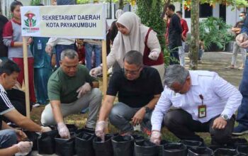 Aksi penanaman serentak komoditas bawang merah dan cabai di halaman Balai Kota Payakumbuh